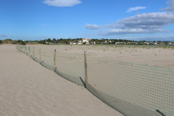 agglo hérault méditerranée environnement biodiversité nature grande maire portiragnes on marche sur des oeufs gravelot sternes