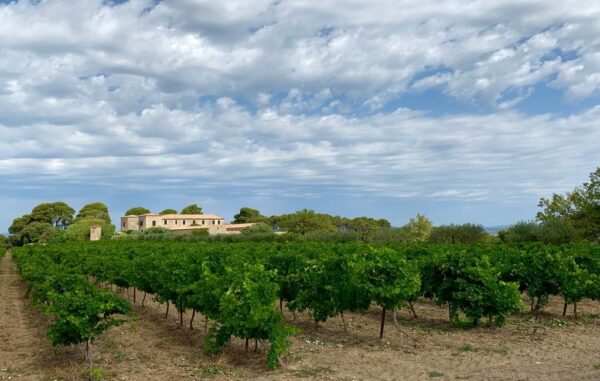 Agglo Hérault Méditerranée visite guidée aumes balade découverte rues village gratuit tourisme