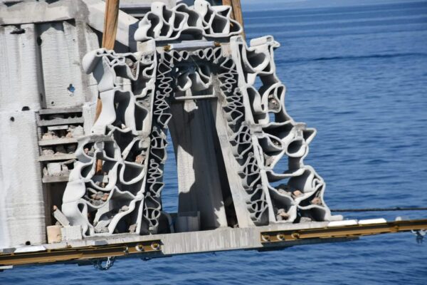 agglo hérault méditerranée visite chantier immersion cap d'agde récif innovant artificiels 3D béton seaboost