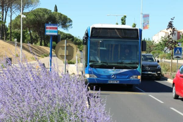 agglo hérault méditerranée cap bus réseau de transports en commun saison été campagne affichage
