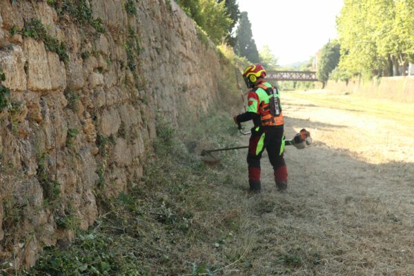 agglo hérault méditerranée gemapi entretien digue ruisseau la peyne pézenas