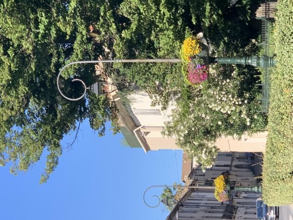 agglo hérault méditerranée espaces verts fleurs paysage coeur de ville village pézenas
