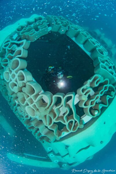 agglo hérault méditerranée visite chantier immersion cap d'agde récif innovant artificiels 3D béton seaboost