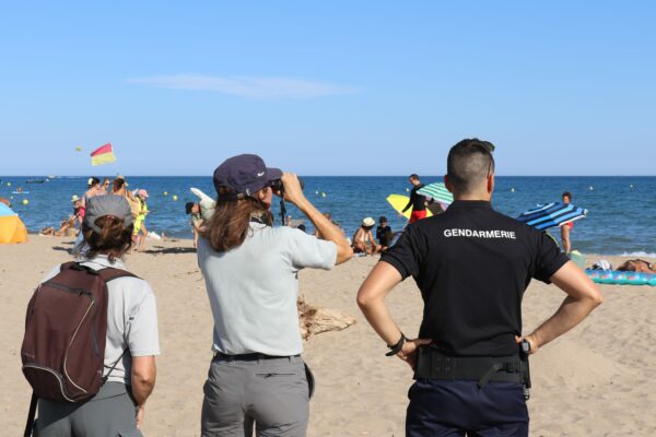 agglo hérault méditerranée environnement patrouille mer terre plage gendarmerie grande maire site protégé nature 2000