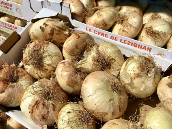 agglo hérault méditerranée visite guidée coeur de village ville lézignan la cebe