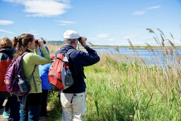 agglo hérault méditerranée animations reserve naturelle du bagnas adena environnement nature