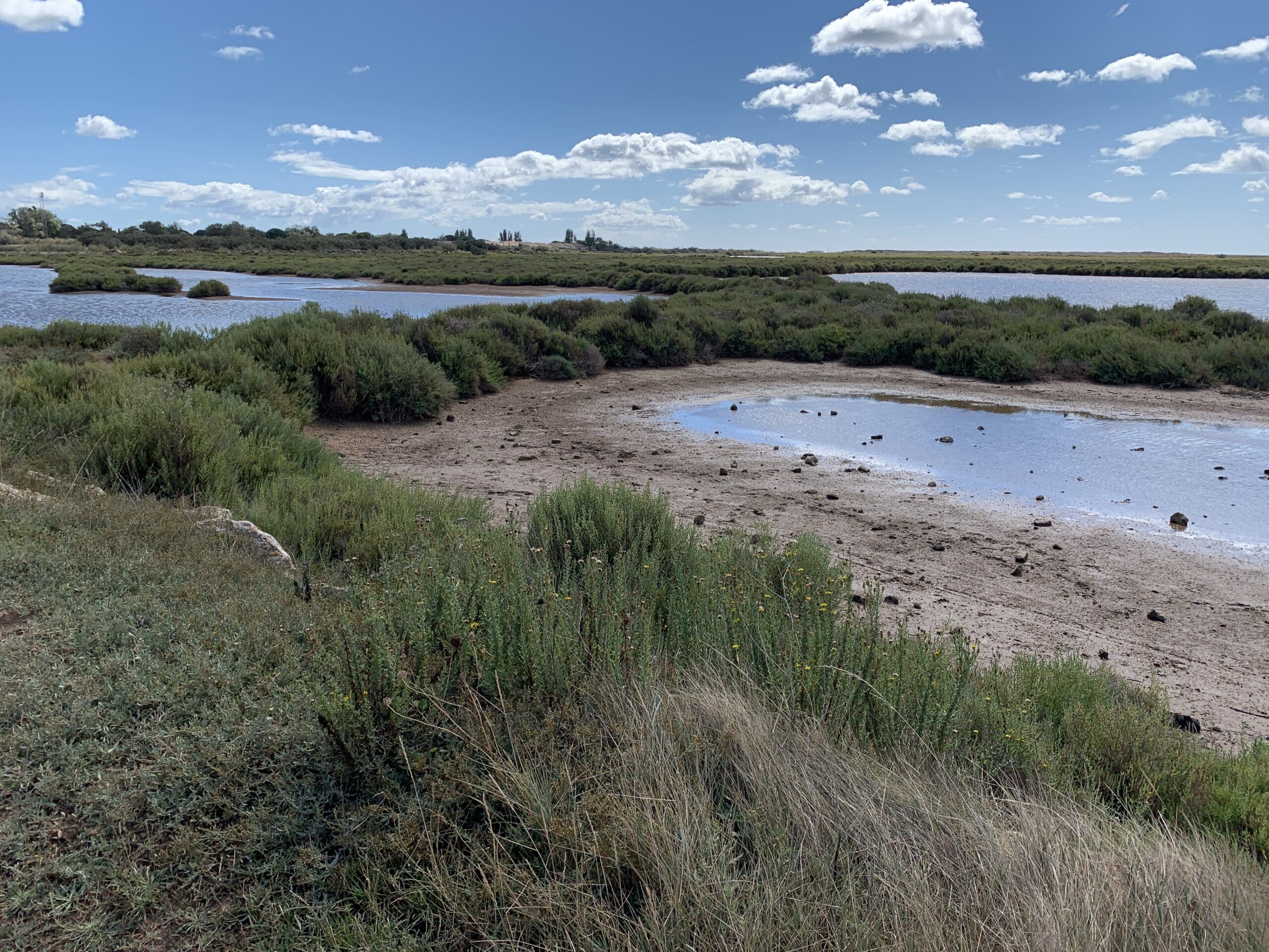 agglo hérault méditerranée journée zone humide environnement conférence biodiversité grande maïre portiragnes plage