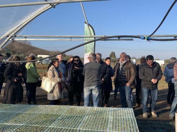 agglomération Hérault Méditerranée agriculture lézignan la cèbe marque oignon