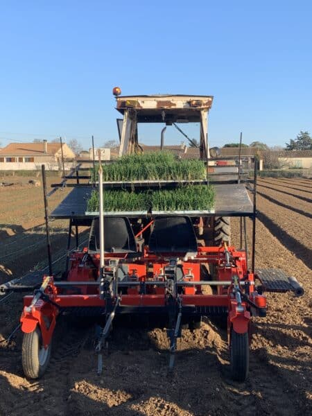 agglomération Hérault Méditerranée agriculture lézignan la cèbe marque oignon