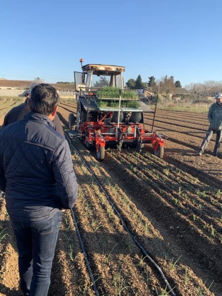 agglomération Hérault Méditerranée agriculture lézignan la cèbe marque oignon