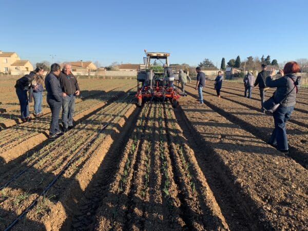 agglomération Hérault Méditerranée agriculture lézignan la cèbe marque oignon