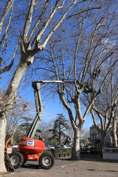 agglomération hérault méditerranée élagage pézenas grimpeur partenariat inédit centre de formation jeunes