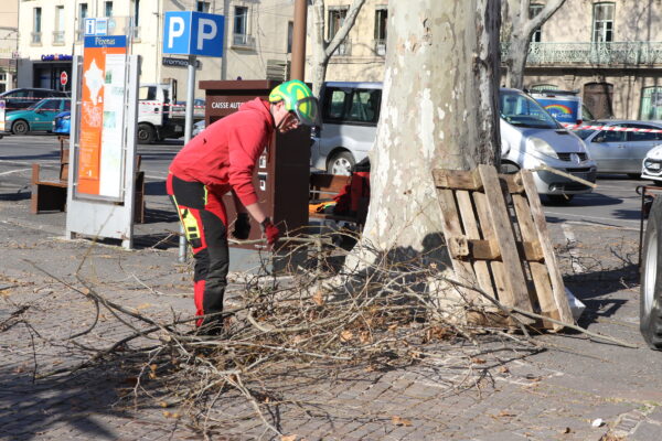 agglomération hérault méditerranée élagage pézenas grimpeur partenariat inédit centre de formation jeunes