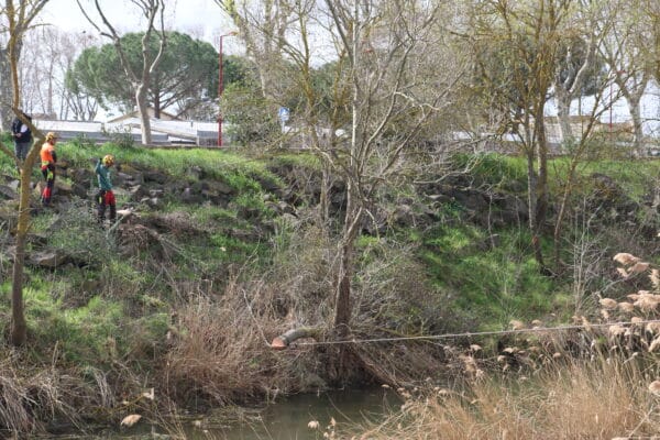 agglo hérault méditerranée gemapi travaux digue saint thibéry entretien berge la thongue