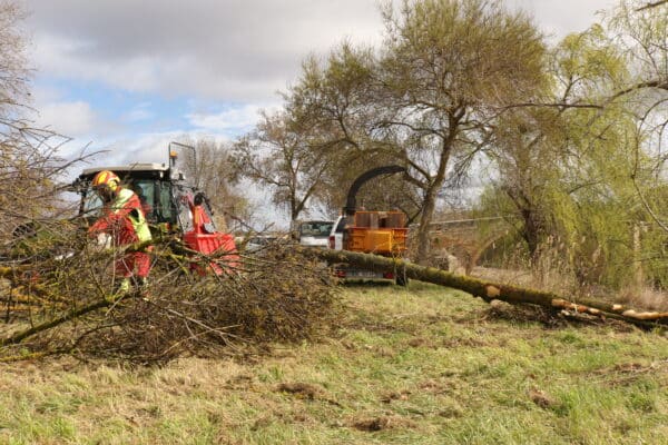 agglo hérault méditerranée gemapi travaux digue saint thibéry entretien berge la thongue