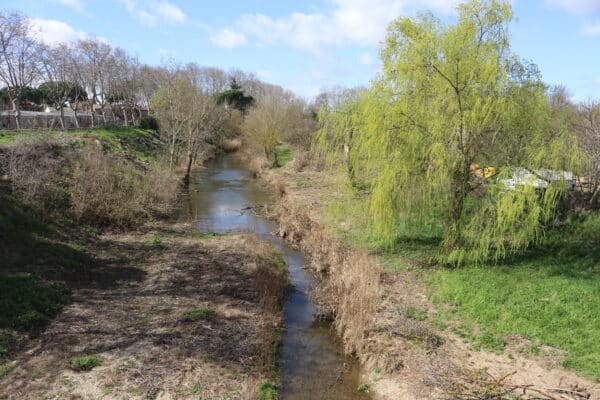 agglo hérault méditerranée gemapi travaux digue saint thibéry entretien berge la thongue