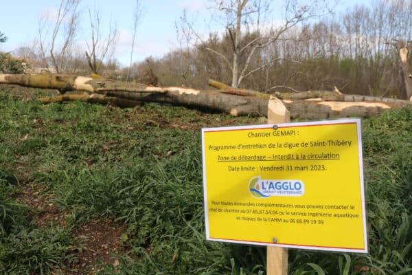 agglo hérault méditerranée gemapi travaux digue saint thibéry entretien berge la thongue