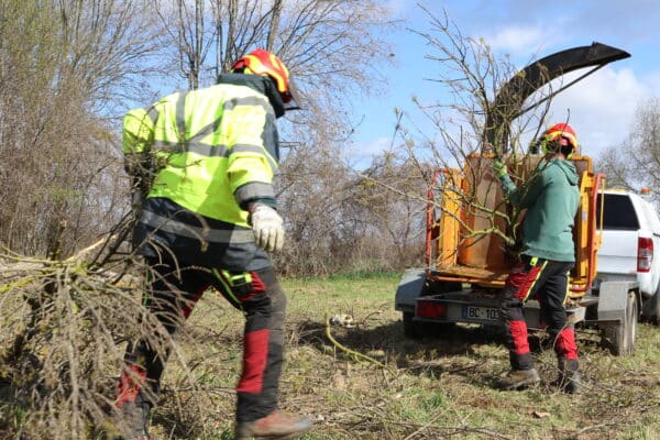 agglo hérault méditerranée gemapi travaux digue saint thibéry entretien berge la thongue