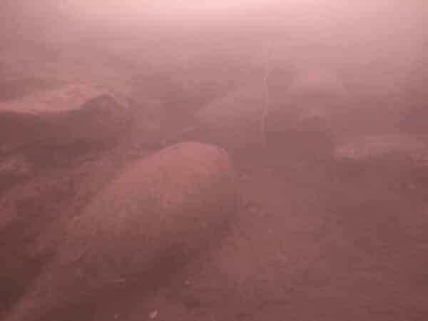 agglo hérault méditerranée fouilles plongée la motte archéologie fleuve hérault agde