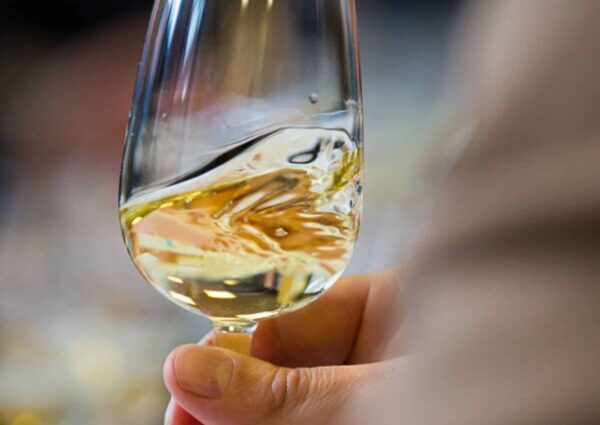 agglo hérault méditerranée concours général agricole salon de l'agriculture médaille viticulture vins