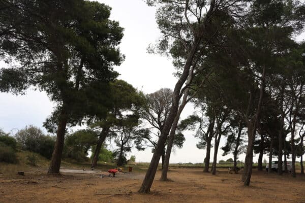 agglo hérault méditerranée chantier plie insertion retour à l'emploi pinet agde