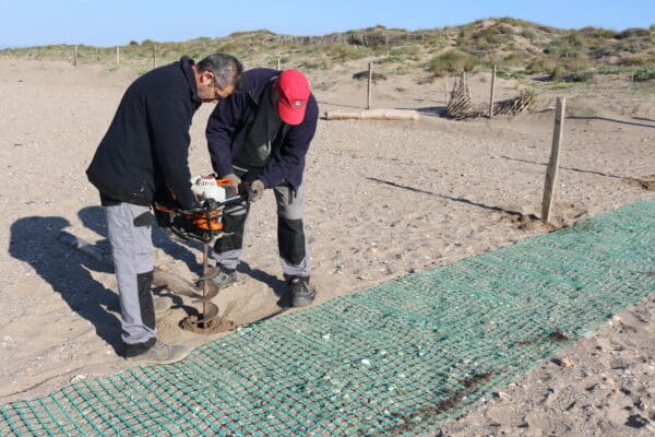 agglo hérault méditerranée pose de filet protection oiseaux marins littoral plage maïre sérignan portiragnes