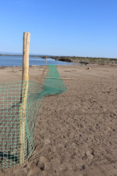 agglo hérault méditerranée pose de filet protection oiseaux marins littoral plage maïre sérignan portiragnes