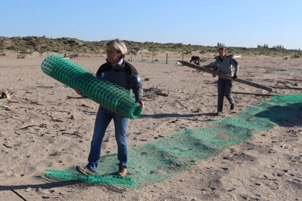 agglo hérault méditerranée pose de filet protection oiseaux marins littoral plage maïre sérignan portiragnes