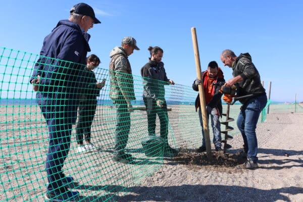 agglo hérault méditerranée pose de filet protection oiseaux marins littoral plage maïre sérignan portiragnes