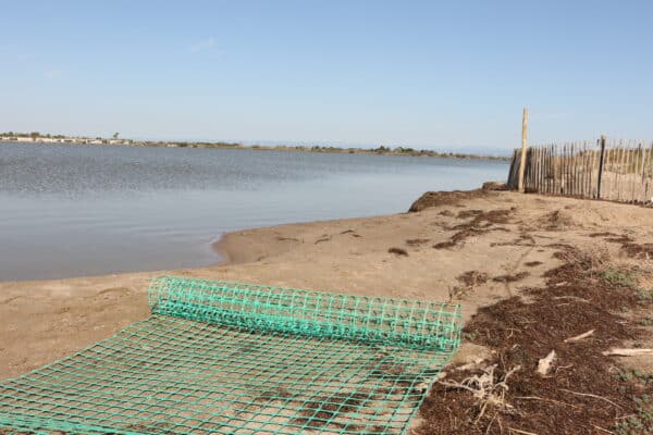 agglo hérault méditerranée pose de filet protection oiseaux marins littoral plage maïre sérignan portiragnes