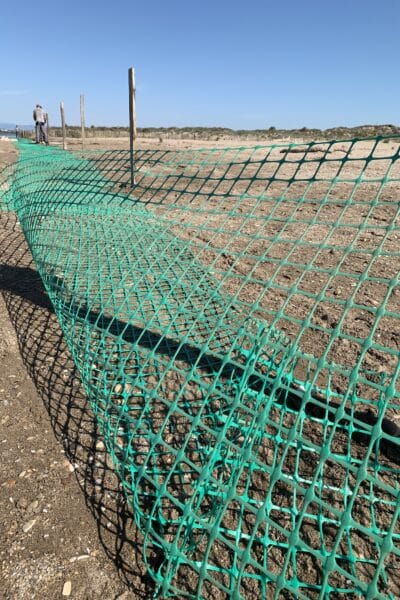 agglo hérault méditerranée pose de filet protection oiseaux marins littoral plage maïre sérignan portiragnes